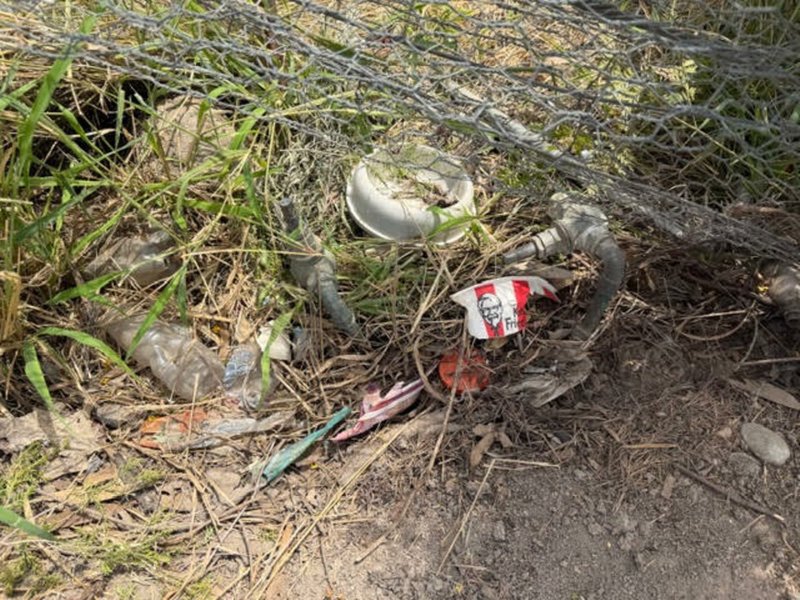 Photo - 66 Yeoman Street, Bogabilla NSW 2409 - Image 4