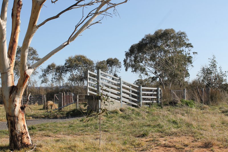 Photo - 661 Cooma Road, Braidwood NSW 2622 - Image 3