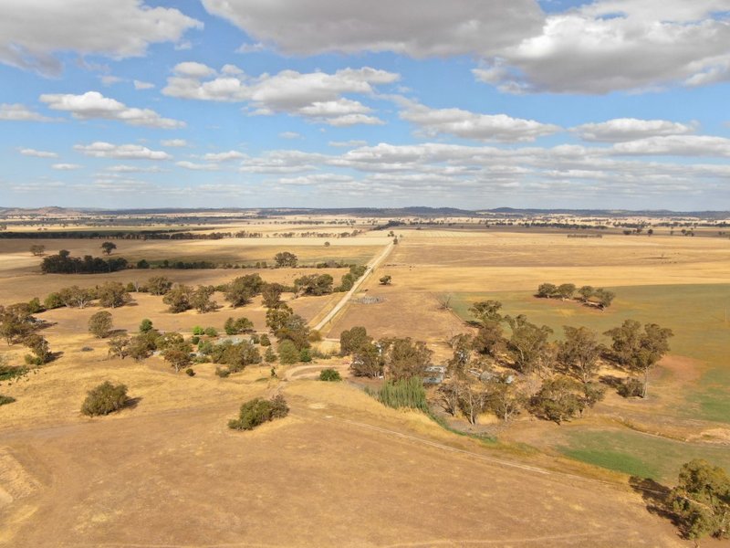 Photo - 661 Dudauman Road, Cootamundra NSW 2590 - Image 5