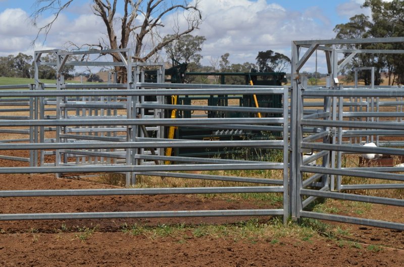 Photo - 661 Dudauman Road, Cootamundra NSW 2590 - Image 11