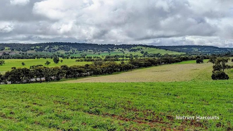 Photo - 6612 Great Northern Highway, Bindoon WA 6502 - Image 10