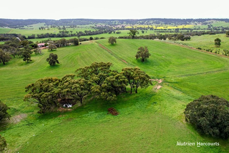 Photo - 6612 Great Northern Highway, Bindoon WA 6502 - Image 22