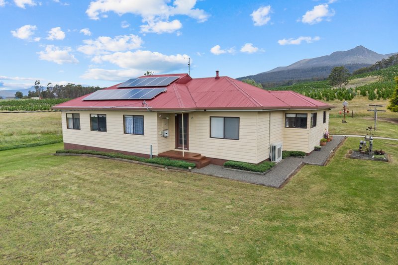 663 Cheshunt Road, Western Creek TAS 7304