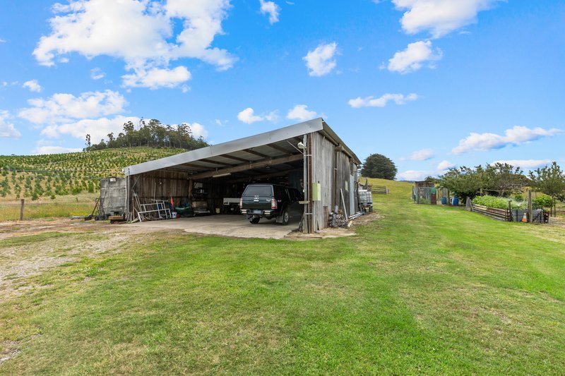 Photo - 663 Cheshunt Road, Western Creek TAS 7304 - Image 8