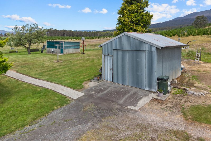 Photo - 663 Cheshunt Road, Western Creek TAS 7304 - Image 26