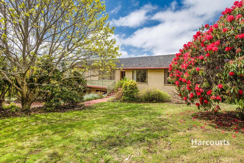 Photo - 663 Ridgley Highway, Ridgley TAS 7321 - Image 18