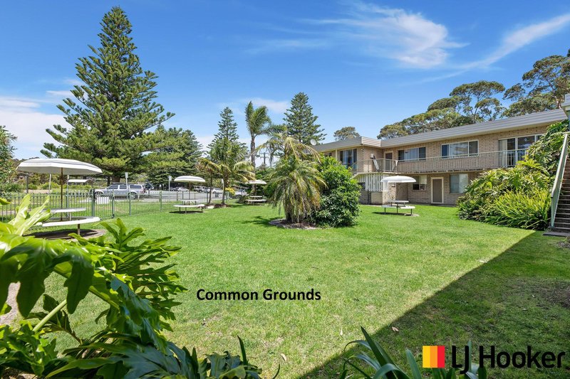 Photo - 6/647 Beach Road, Surf Beach NSW 2536 - Image 9