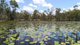 Photo - 666 Capricornia Drive, Deepwater QLD 4674 - Image 3