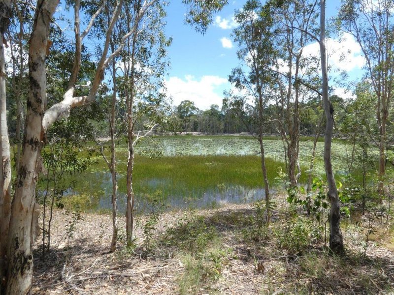 Photo - 666 Capricornia Drive, Deepwater QLD 4674 - Image 14