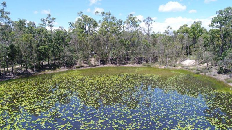 Photo - 666 Capricornia Drive, Deepwater QLD 4674 - Image 15