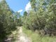 Photo - 666 Capricornia Drive, Deepwater QLD 4674 - Image 21