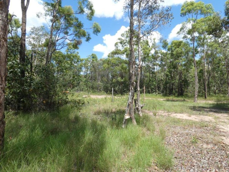 Photo - 666 Capricornia Drive, Deepwater QLD 4674 - Image 23