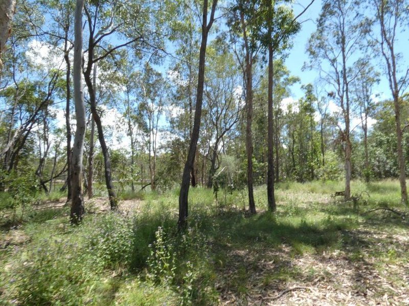 Photo - 666 Capricornia Drive, Deepwater QLD 4674 - Image 24