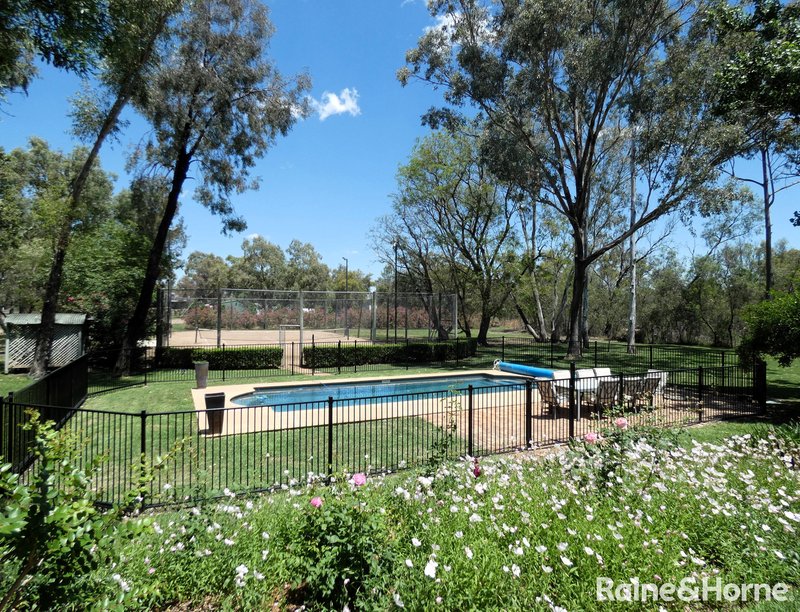 Photo - 667 Gwydir Highway, Moree NSW 2400 - Image 2