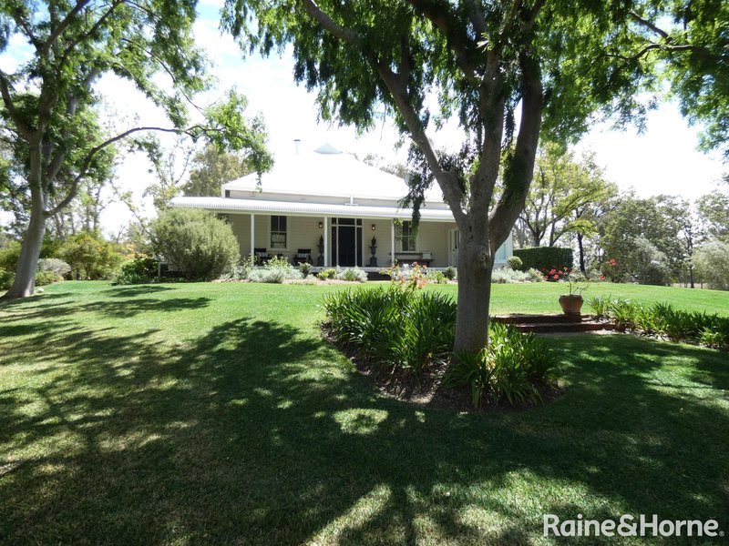 Photo - 667 Gwydir Highway, Moree NSW 2400 - Image 6