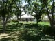 Photo - 667 Gwydir Highway, Moree NSW 2400 - Image 28