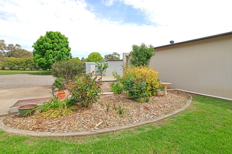 Photo - 667 Moore Creek Road, Tamworth NSW 2340 - Image 11