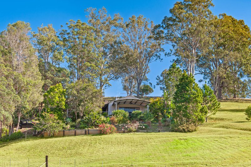 Photo - 667 Tin Can Bay Rd , Canina QLD 4570 - Image 3