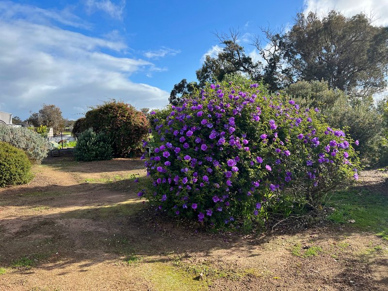 Photo - 6678 Donnybrook-Boyup Brook Road, Boyup Brook WA 6244 - Image 14