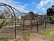 Photo - 6678 Donnybrook-Boyup Brook Road, Boyup Brook WA 6244 - Image 16