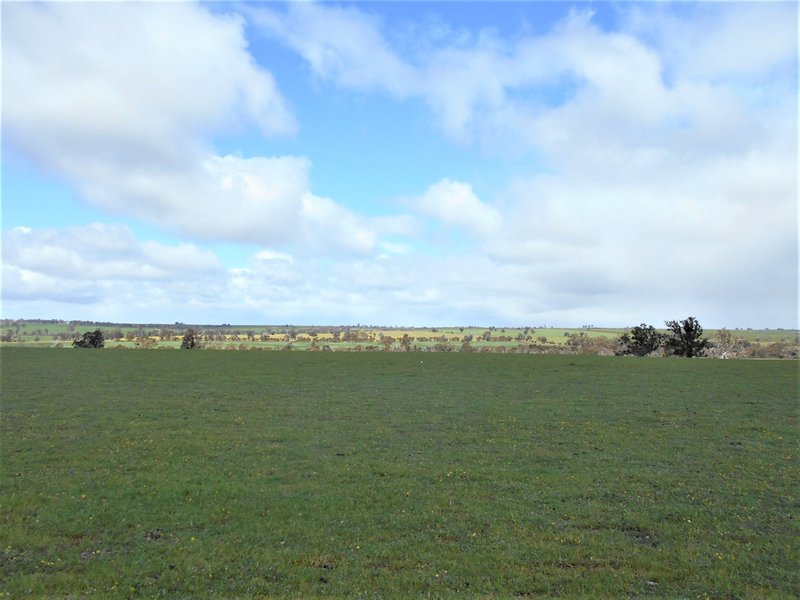 Photo - 668 Greenhills Road, Broomehill WA 6318 - Image 1