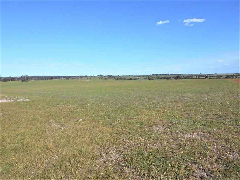 Photo - 668 Greenhills Road, Broomehill WA 6318 - Image 2