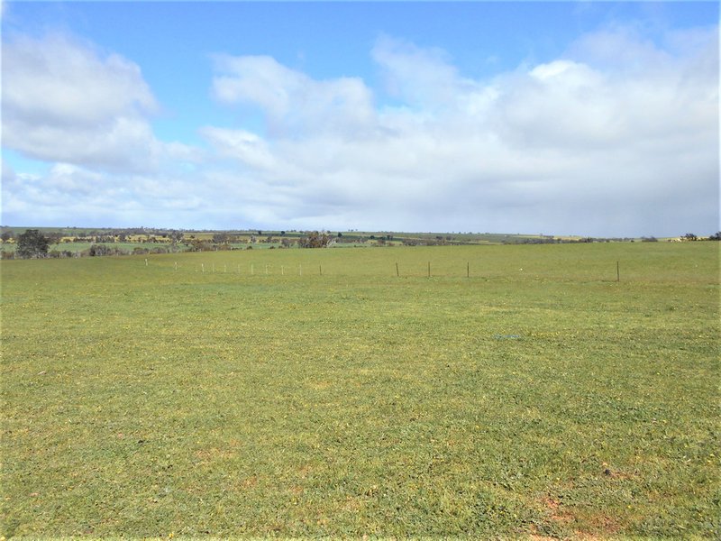 Photo - 668 Greenhills Road, Broomehill WA 6318 - Image 3