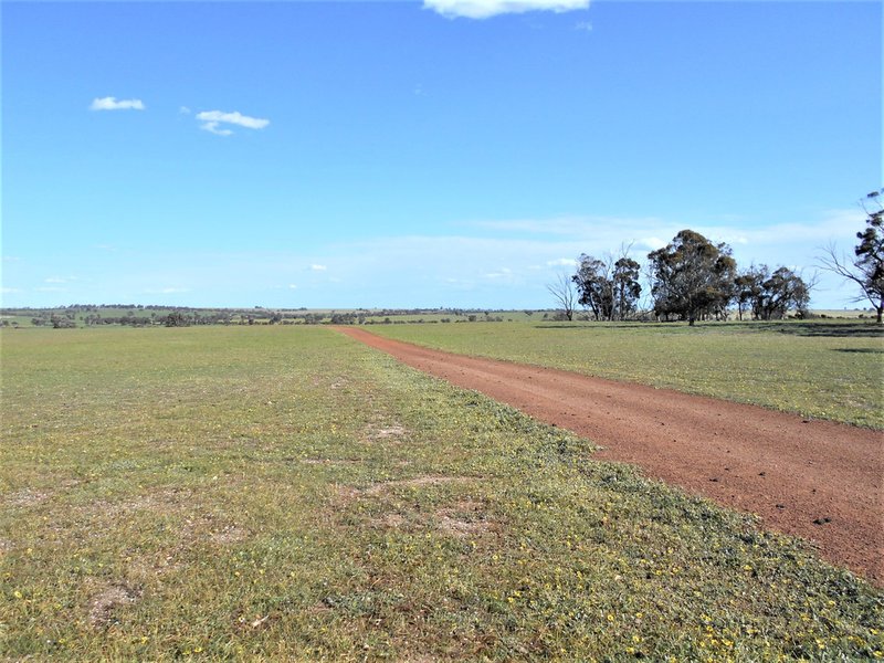 Photo - 668 Greenhills Road, Broomehill WA 6318 - Image 4