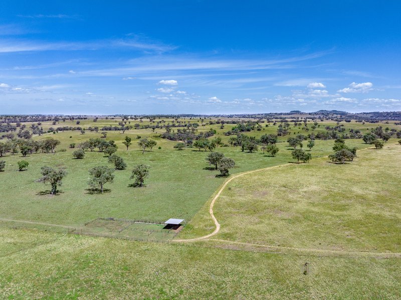 Photo - 6690 Newell Highway, Gowang NSW 2357 - Image 4