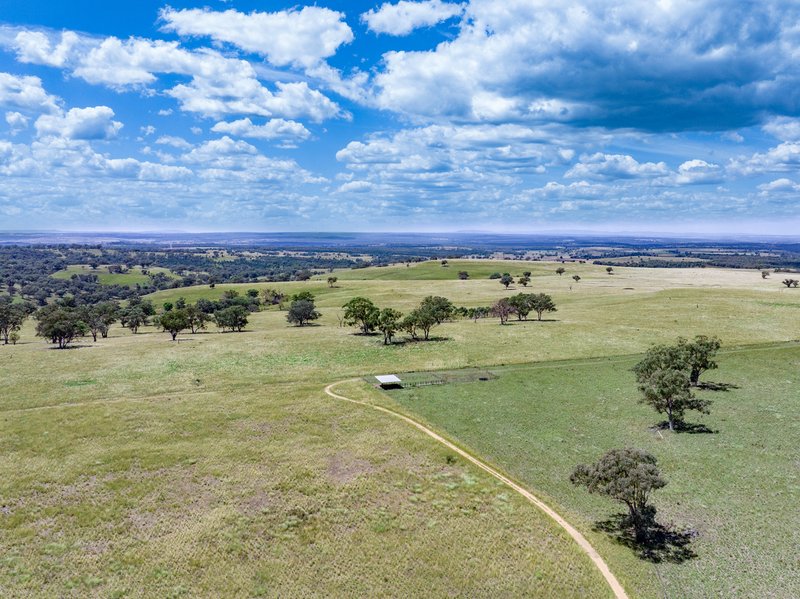 Photo - 6690 Newell Highway, Gowang NSW 2357 - Image 20