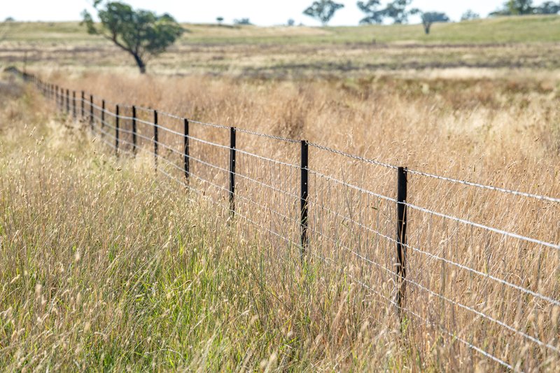 Photo - 6690 Newell Highway, Gowang NSW 2357 - Image 22