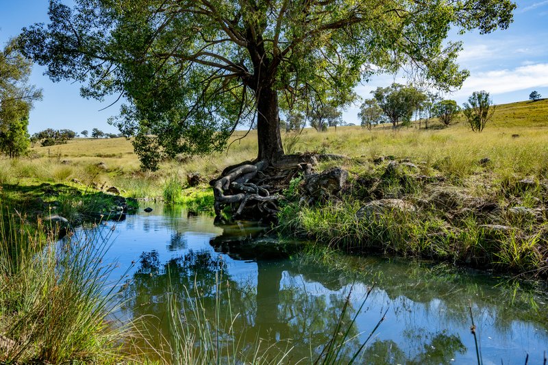 Photo - 6690 Newell Highway, Gowang NSW 2357 - Image 30