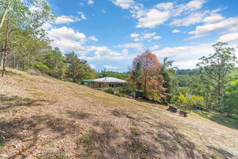 Photo - 67 Albert Street, Kendall NSW 2439 - Image 16