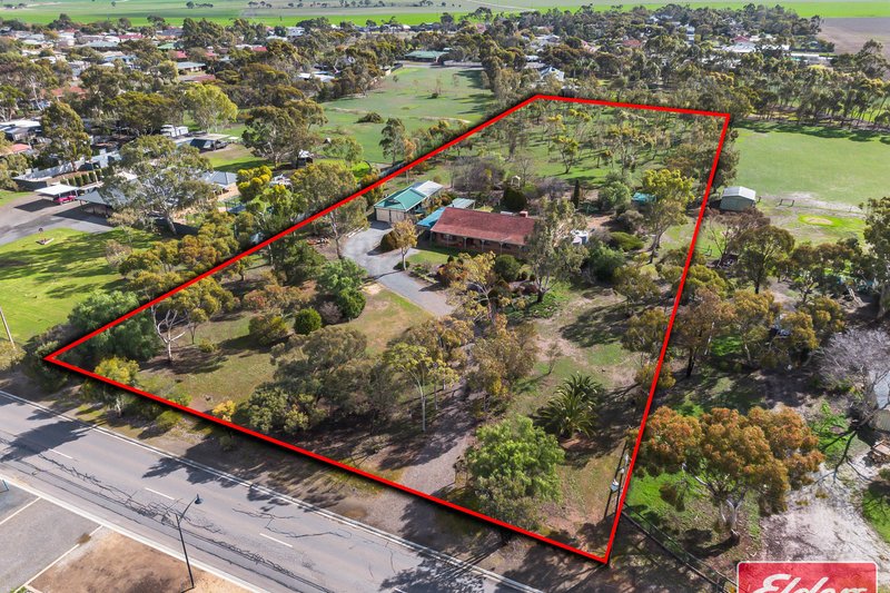 67 Borrow Street, Freeling SA 5372