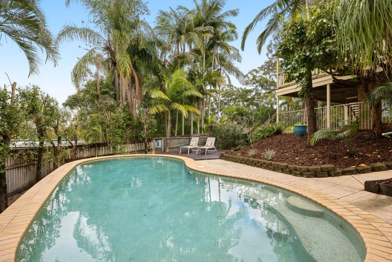 Photo - 67 Cogill Road, Buderim QLD 4556 - Image 3