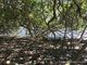 Photo - 67 Coondooroopa Drive, Macleay Island QLD 4184 - Image 1