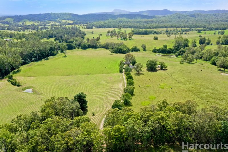 Photo - 67 Fegans Road, Byabarra NSW 2446 - Image 18