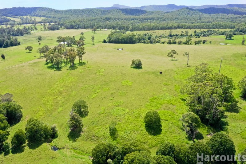 Photo - 67 Fegans Road, Byabarra NSW 2446 - Image 21