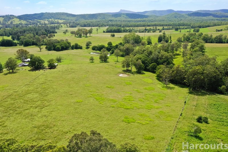 Photo - 67 Fegans Road, Byabarra NSW 2446 - Image 22