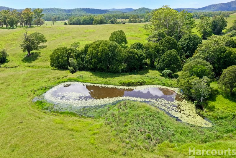 Photo - 67 Fegans Road, Byabarra NSW 2446 - Image 24