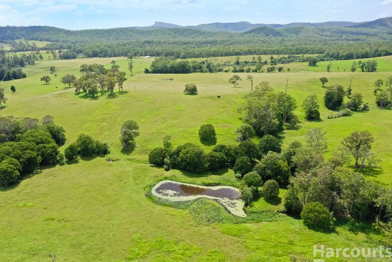 Photo - 67 Fegans Road, Byabarra NSW 2446 - Image 25