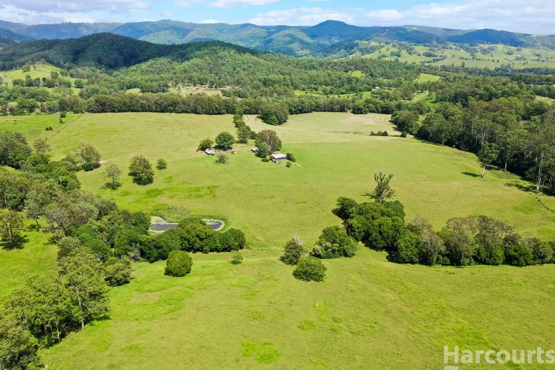 Photo - 67 Fegans Road, Byabarra NSW 2446 - Image 28