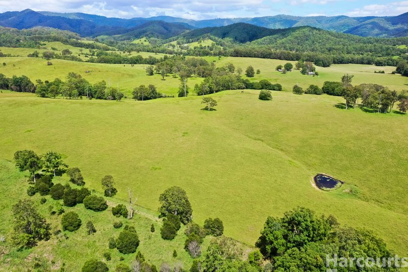 Photo - 67 Fegans Road, Byabarra NSW 2446 - Image 29