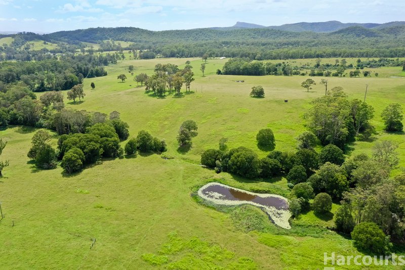 Photo - 67 Fegans Road, Byabarra NSW 2446 - Image 32