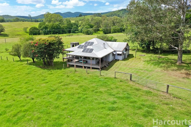 Photo - 67 Fegans Road, Byabarra NSW 2446 - Image 35