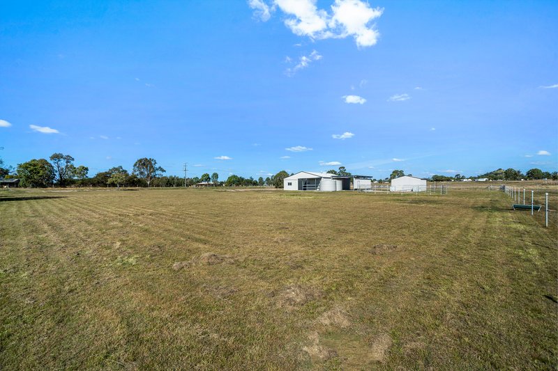 Photo - 67 Irwin Road, Mount Tarampa QLD 4311 - Image 14