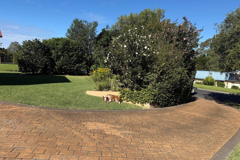 Photo - 67 Nooramunga Avenue, Cambewarra Village NSW 2540 - Image 15