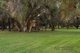 Photo - 67 Old Dairy Court, Oakford WA 6121 - Image 29