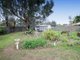 Photo - 67 Pugsley Avenue, Estella NSW 2650 - Image 10