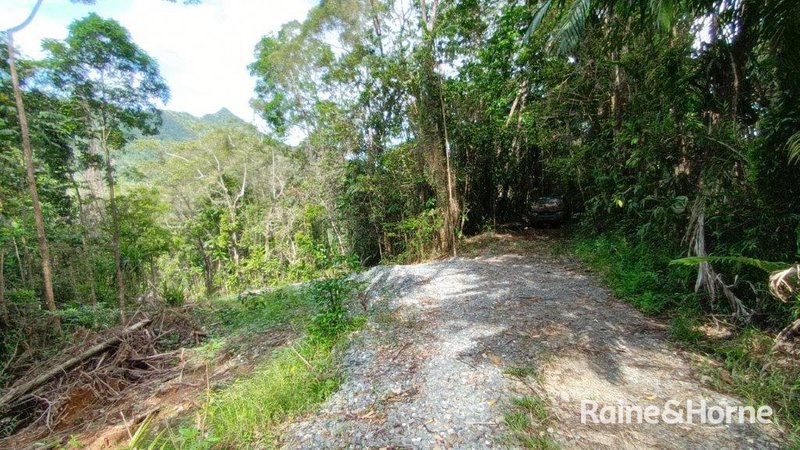 Photo - 67 Ronald Road, Forest Creek , Daintree QLD 4873 - Image 16